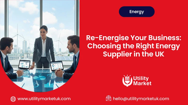 Choosing the Right Energy Supplier in the UK