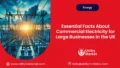 Essential Facts About Commercial Electricity for Large Businesses in the UK