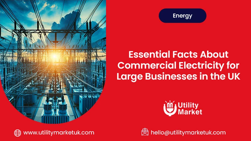 large business electricity UK